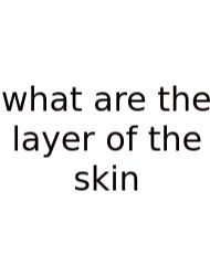What Are The Layer Of The Skin
