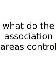 What Do The Association Areas Control