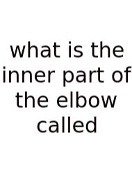 What Is The Inner Part Of The Elbow Called