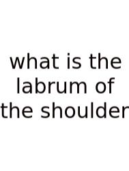 What Is The Labrum Of The Shoulder