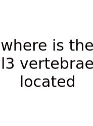Where Is The L3 Vertebrae Located