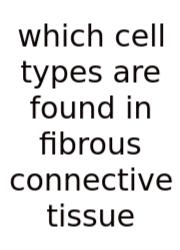 Which Cell Types Are Found In Fibrous Connective Tissue