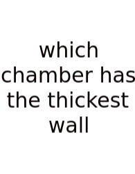 Which Chamber Has The Thickest Wall