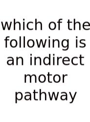 Which Of The Following Is An Indirect Motor Pathway