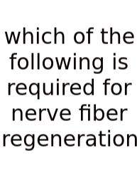 Which Of The Following Is Required For Nerve Fiber Regeneration