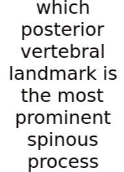Which Posterior Vertebral Landmark Is The Most Prominent Spinous Process
