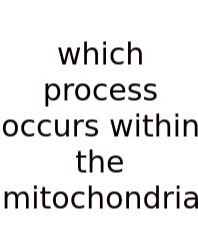 Which Process Occurs Within The Mitochondria