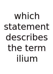 Which Statement Describes The Term Ilium