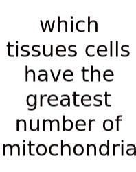 Which Tissues Cells Have The Greatest Number Of Mitochondria