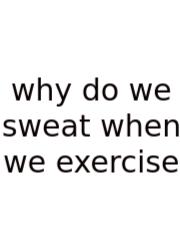 Why Do We Sweat When We Exercise