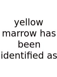 Yellow Marrow Has Been Identified As